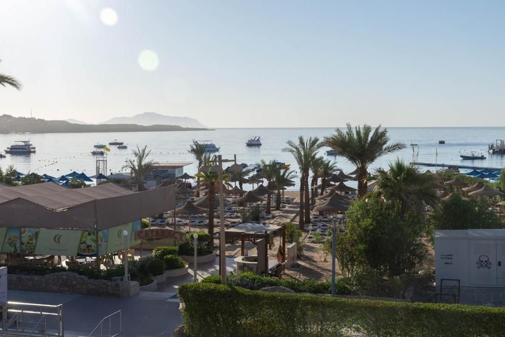 كتاركت ريزورت