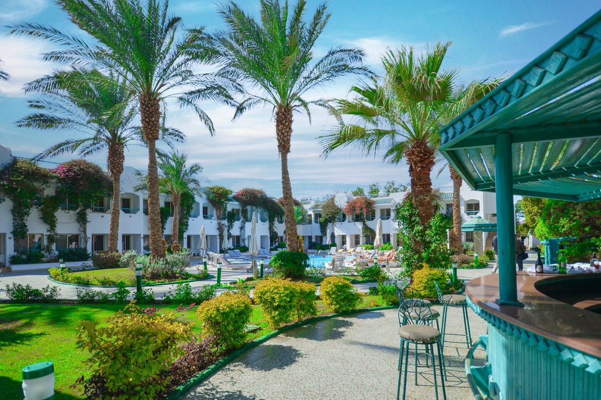 ڤالكون نعمة