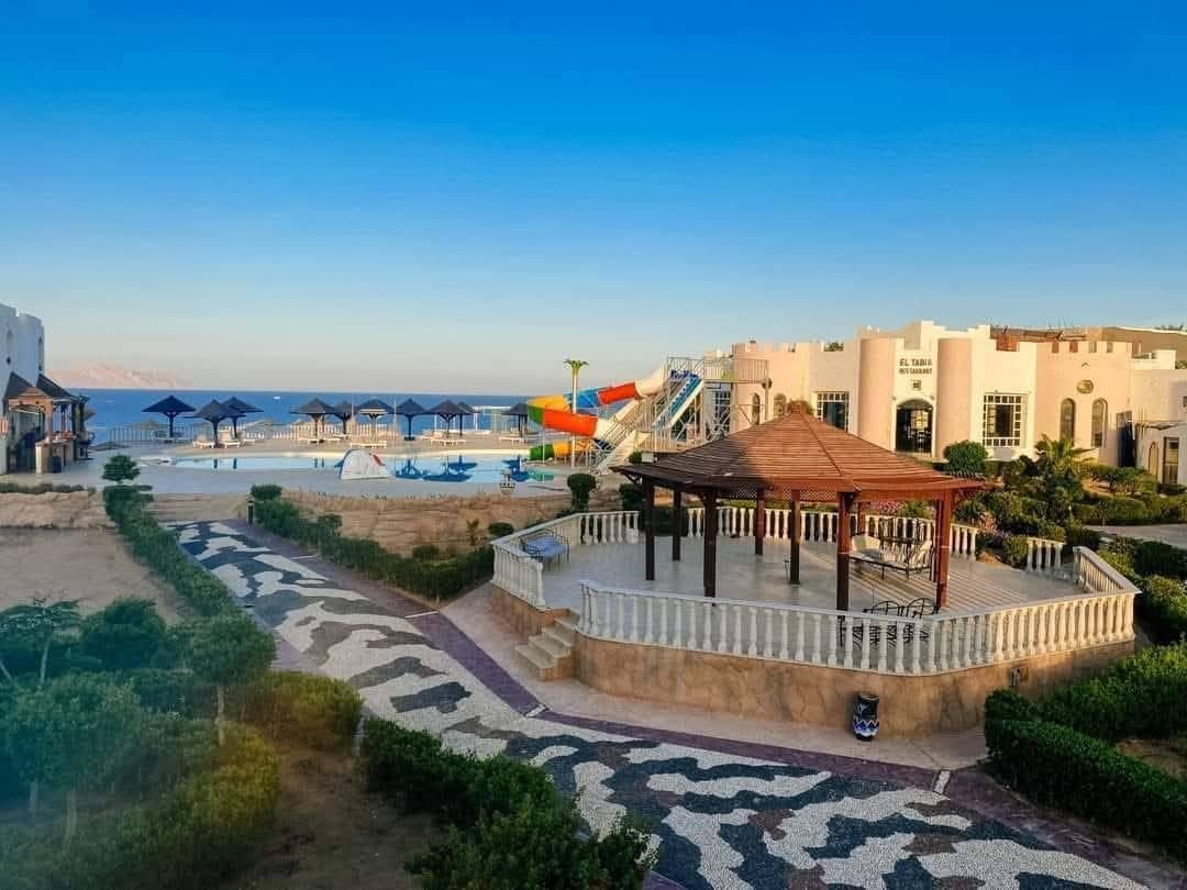 جراند هالومي