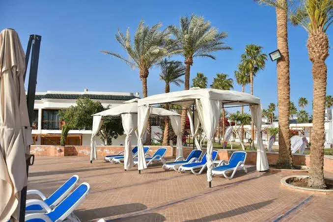 صورة الفندق 8