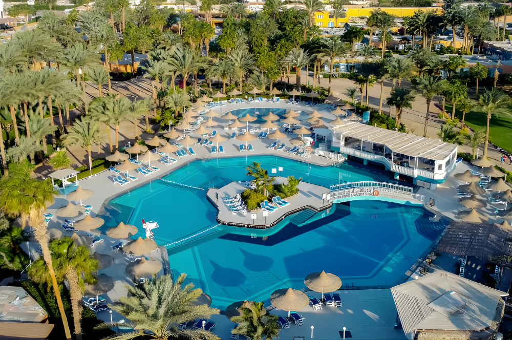 الجفتون ازور