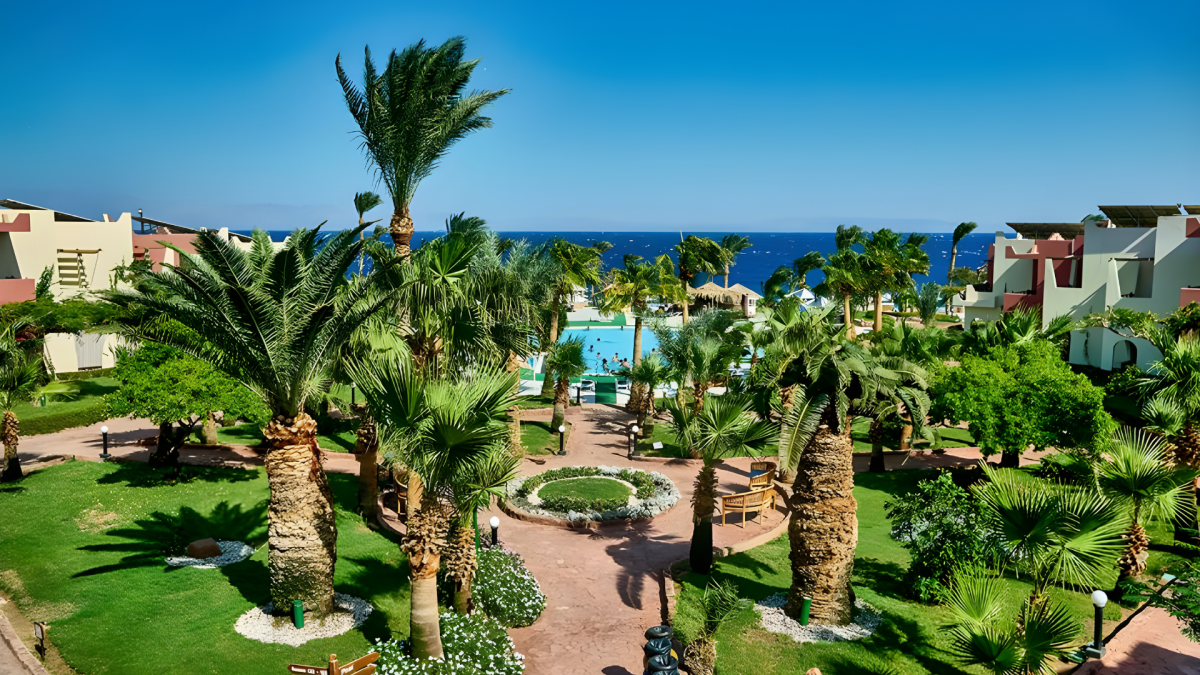 صورة الفندق 6