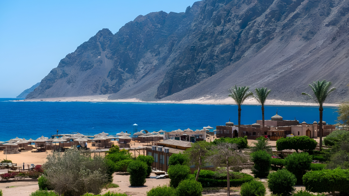 صورة الفندق 4