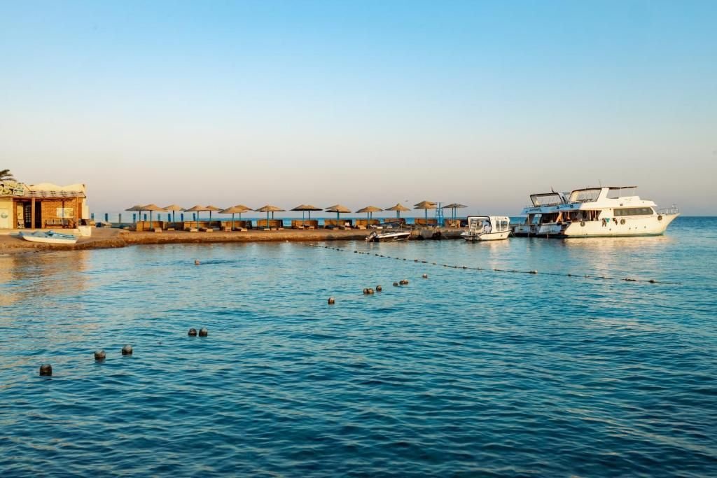 صورة الفندق 7