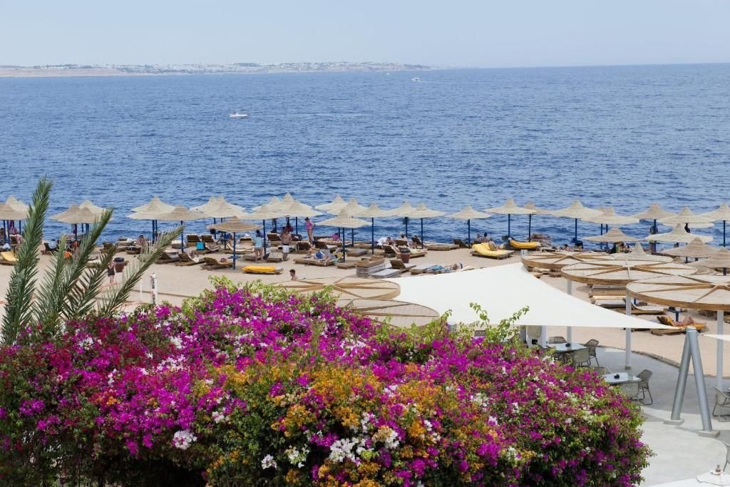 صورة الفندق 2