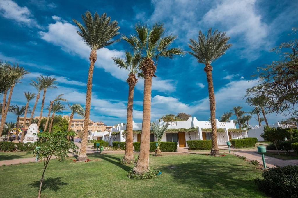 صورة الفندق 8