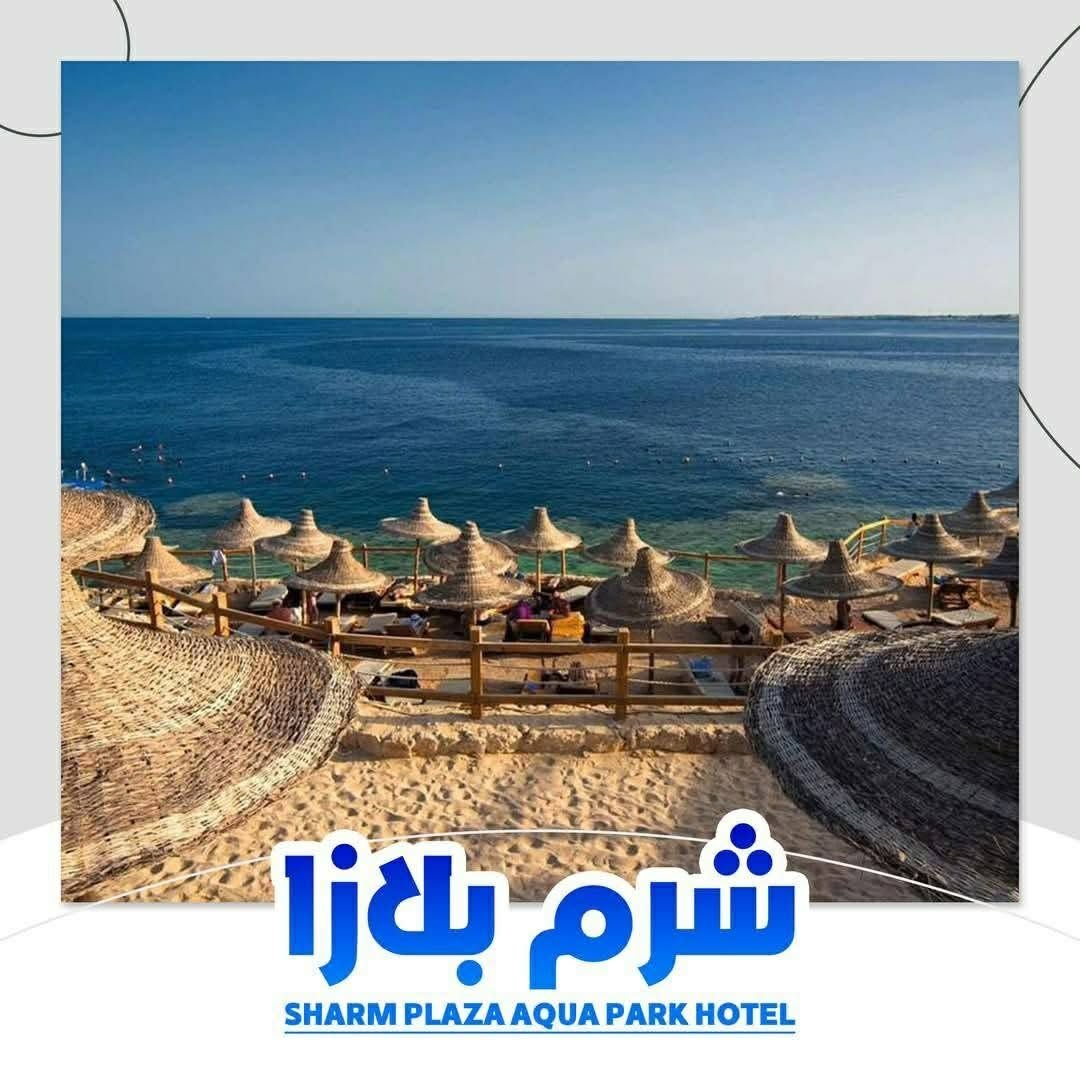 صورة الفندق 8